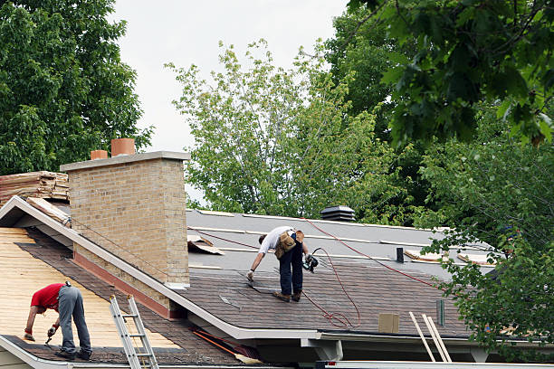 Best Roof Waterproofing Services  in Monticello, MN