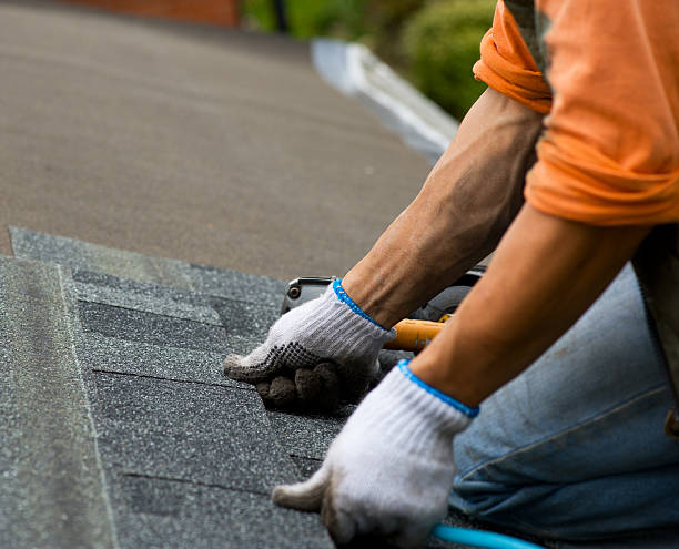 Best Roof Leak Repair  in Monticello, MN